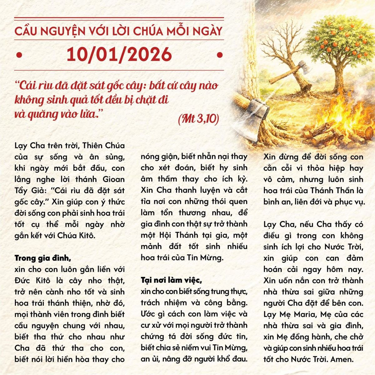 Lắng Nghe Lời Chúa: Lời Kêu Gọi Hoán Cải Từ Cây Vả Không Sinh Bông Trái 14 Lắng Nghe Lời Chúa: Lời Kêu Gọi Hoán Cải Từ Cây Vả Không Sinh Bông Trái