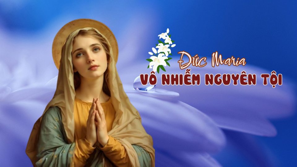 Lễ Đức Maria Vô Nhiễm Nguyên Tội: Dấu Ấn Thiêng Liêng tại Giáo xứ Gia Nghĩa