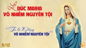 Lễ Đức Maria Vô Nhiễm Nguyên Tội: Dấu Ấn Thiêng Liêng tại Giáo xứ Gia Nghĩa