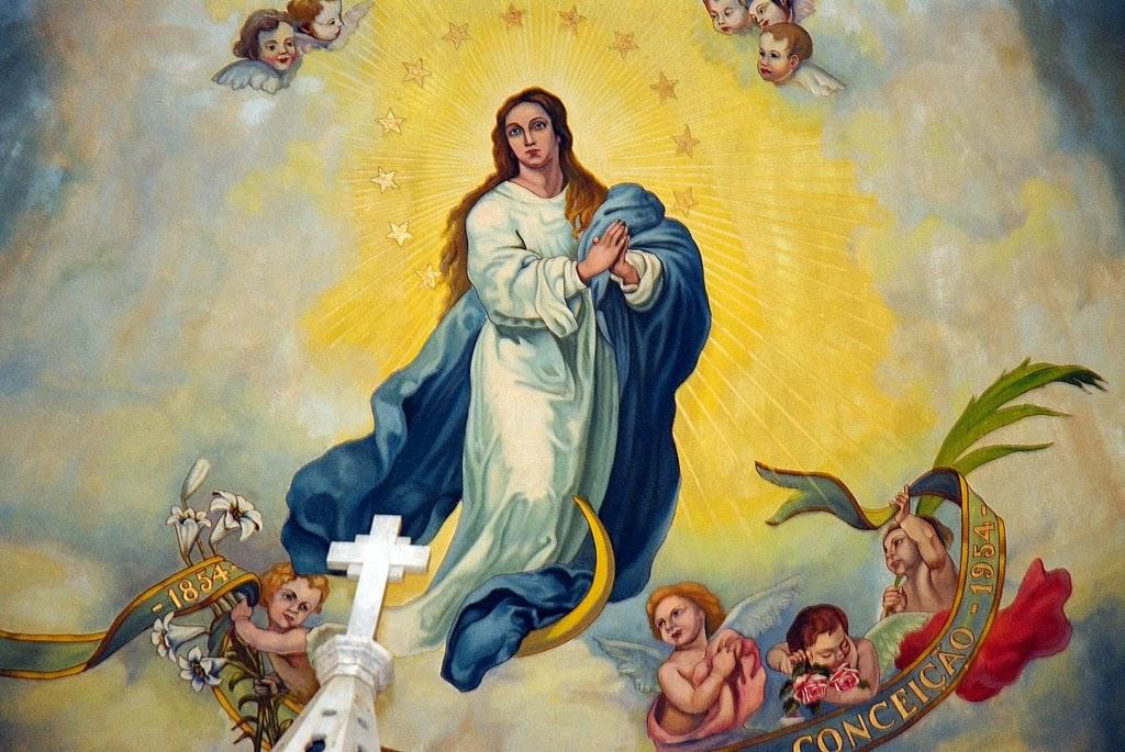 Lễ Đức Maria Vô Nhiễm Nguyên Tội: Dấu Ấn Thiêng Liêng tại Giáo xứ Gia Nghĩa