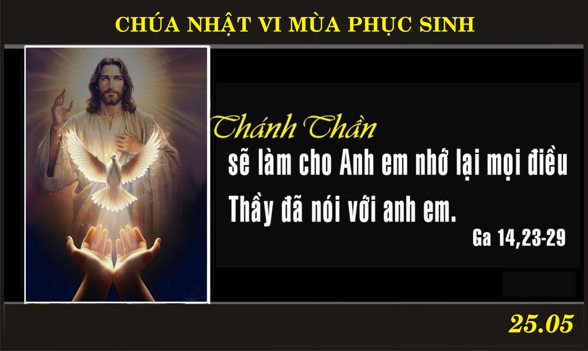 Vượt Qua Nỗi Sợ Hãi Để Sống Tình Yêu Phục Sinh: Suy Niệm Tin Mừng Chúa Nhật III Mùa Phục Sinh Năm C