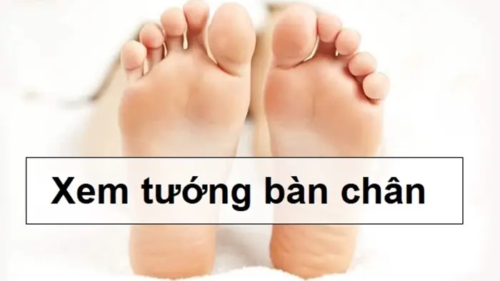 Bàn Chân Phẳng Tướng Số