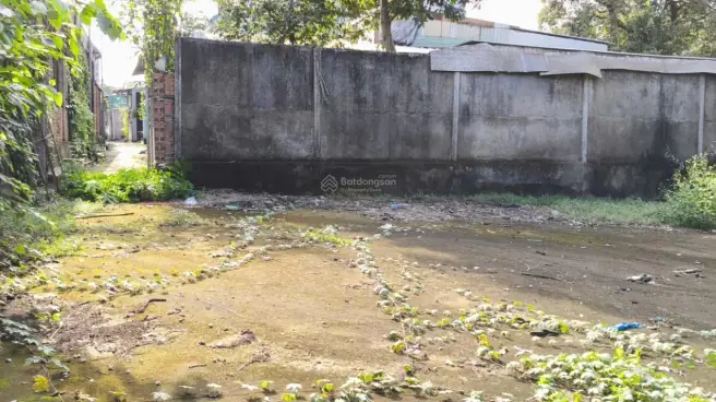 Bán Đất Gần Nhà Thờ Lái Thiêu