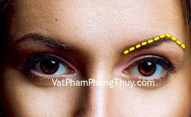Bói Tướng Lông Mày