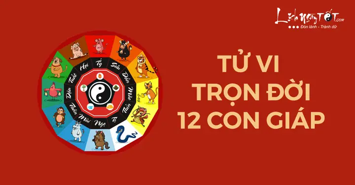 Bói Tướng Số Qua Ngày Tháng Năm Sinh
