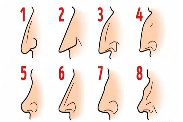 Caác Loại Tướng Mũi Caác Loại Tướng Mũi