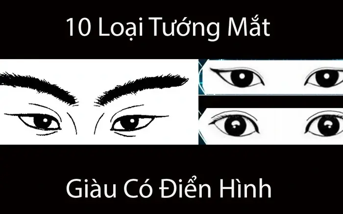 Các Loại Tướng Mắt Phong Thủy Số