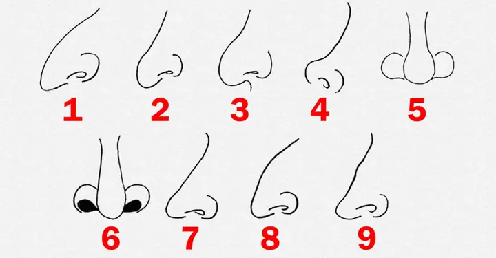 Các Loại Tướng Mũi Các Loại Tướng Mũi