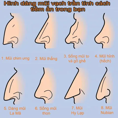 Các Loại Tướng Mũi
