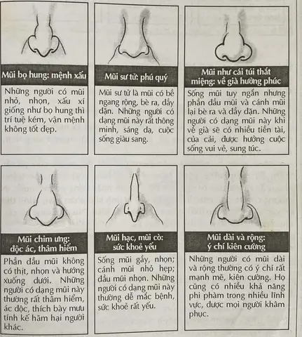 Các Tích Về Phong Thủy Tướng Số