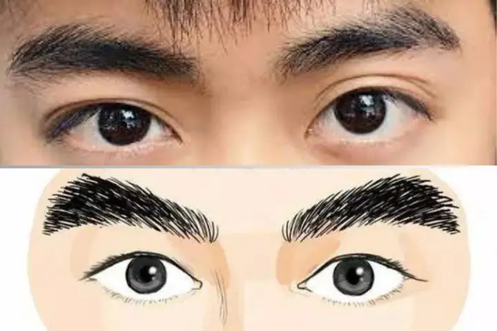 Các Tướng Lông Mày Của Đàn Ông