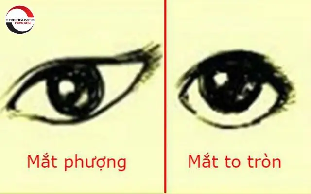 Các Tướng Mắt Phụ Nữ