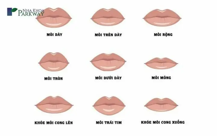 Các Tướng Miệng Đàn Ông