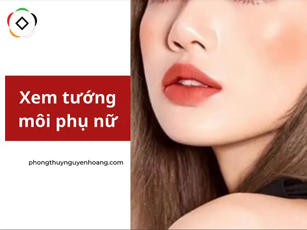 Các Tướng Môi Phụ Nữ