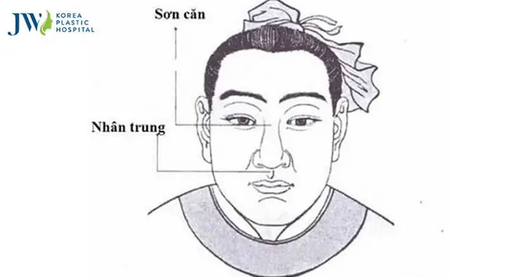Các Tướng Mũi Rồng Các Tướng Mũi Rồng