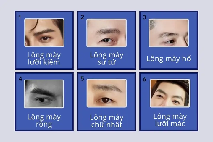 Cách Xem Tướng Lông Mày Đàn Ông