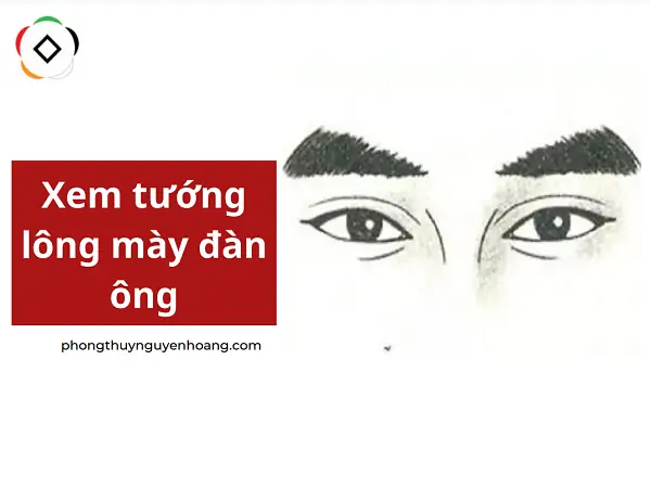 Cách Xem Tướng Lông Mày Đàn Ông