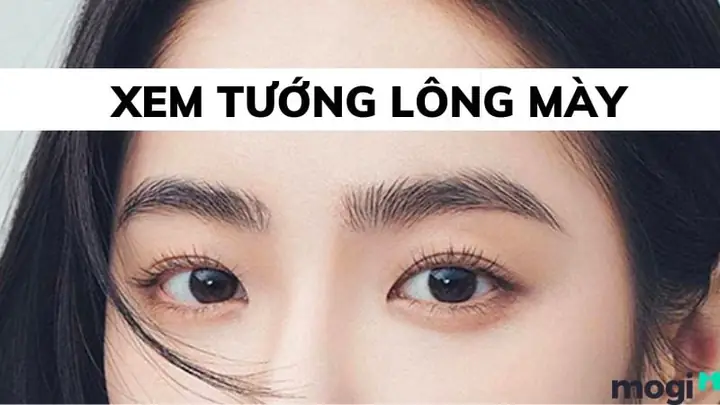 Cách Xem Tướng Lông Mày Cách Xem Tướng Lông Mày