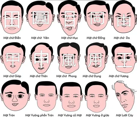 Cách Xem Tướng Mặt Đoán Vận Mệnh