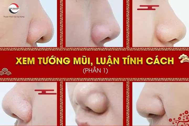 Cách Xem Tướng Mũi Cách Xem Tướng Mũi
