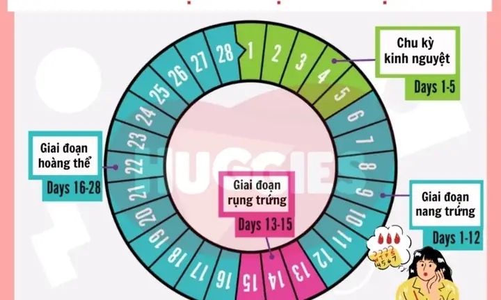 Cách Xem Tướng Số Sinh Con Trai Con Gái