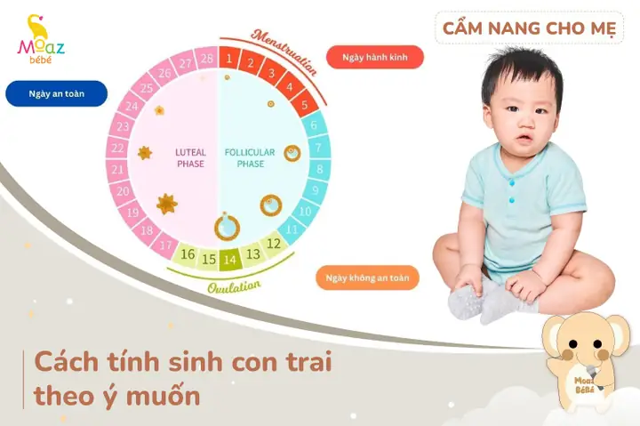 Cách Xem Tướng Số Sinh Con Trai Con Gái