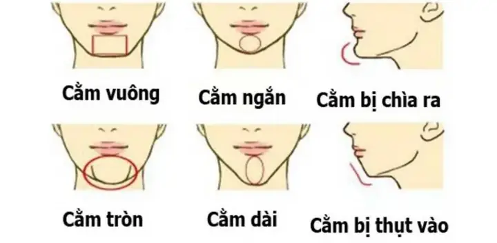 Cằm Ngắn Tướng Số Cằm Ngắn Tướng Số