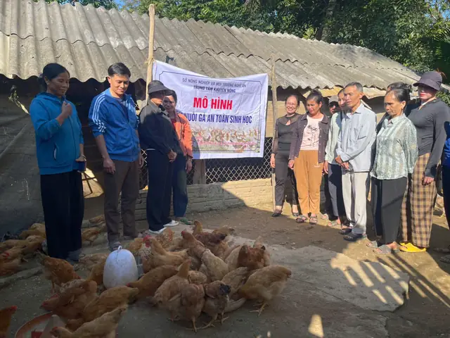 Cằm Nọng Tướng Số