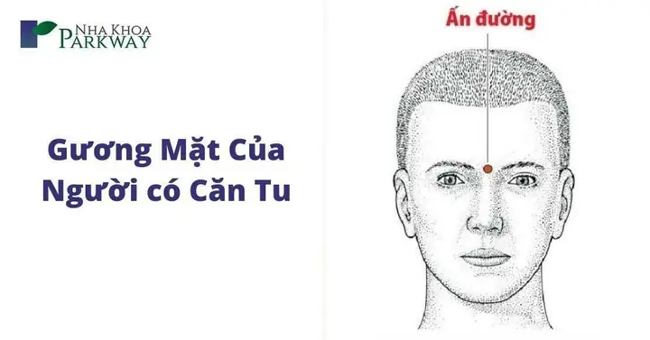Cân Lượng Xem Tướng Net Tử Vi Tướng Số