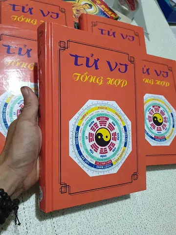 Cậu Tuấn Tử Vi Tướng Số