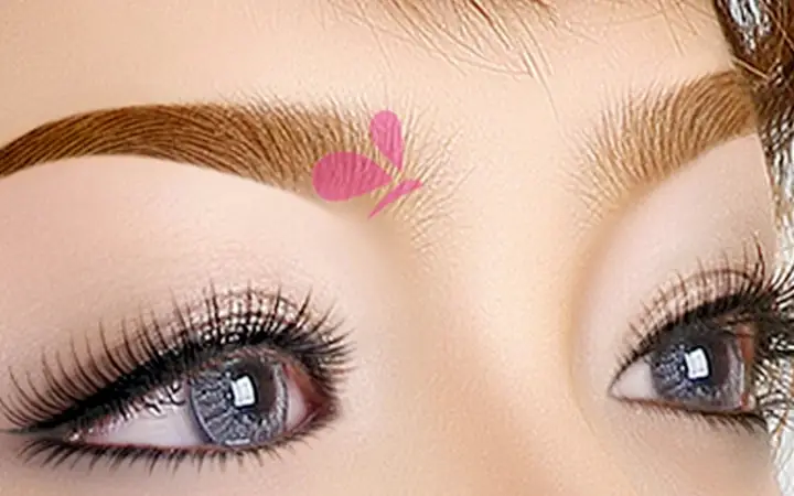 Chân Mày Theo Tướng Số