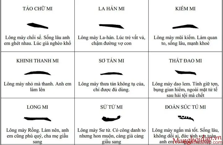 Chân Mày Tướng Số Chân Mày Tướng Số