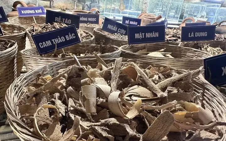 Chữa Bệnh Bằng Tướng Số Bát Quái