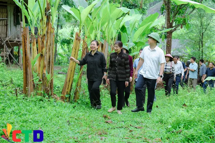 Chương Trình Xem Tướng Số