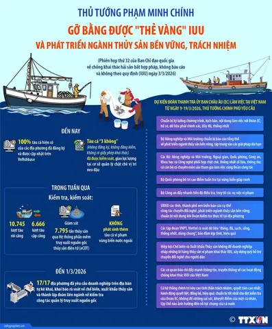 Có Tin Vào Tướng Số Không