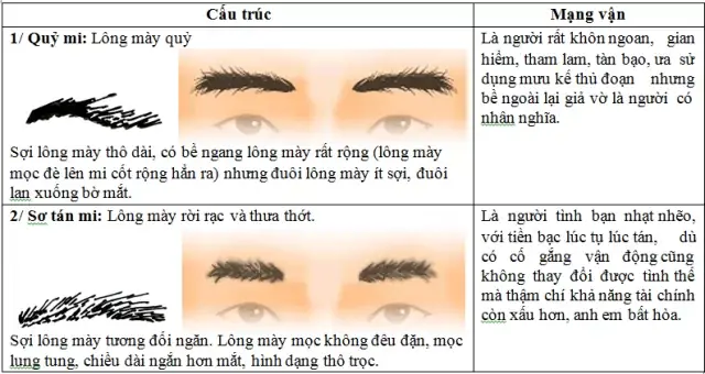 Coi Tướng Lông Mày Phụ Nữ Coi Tướng Lông Mày Phụ Nữ