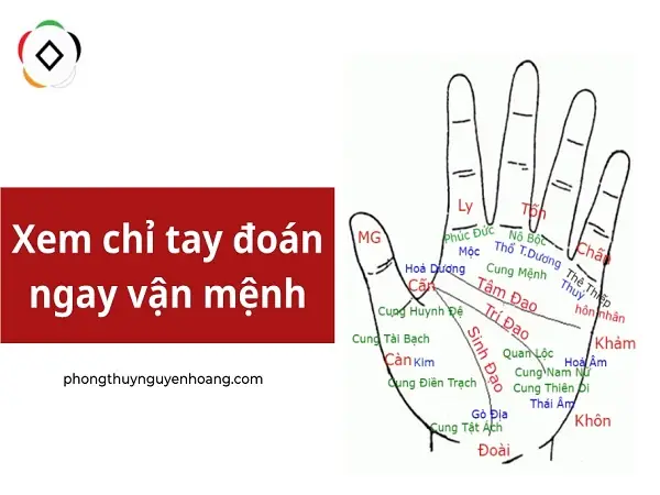 Coi Tướng Số Chỉ Tay
