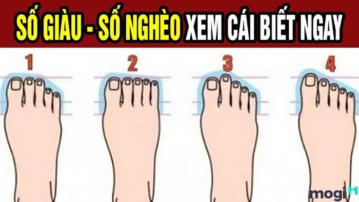 Coi Tướng Số Qua Bàn Chân
