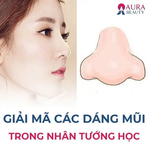 Đầu Mũi Tròn Tướng Số Đầu Mũi Tròn Tướng Số