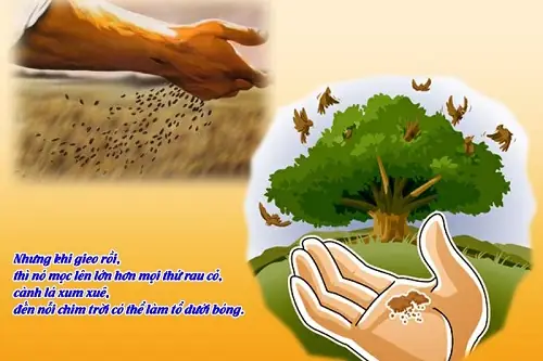 Dụ Ngôn Chúa Giêsu Dụ Ngôn Chúa Giêsu