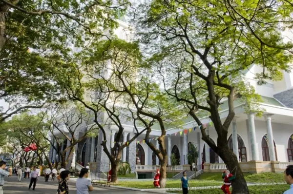 Giờ Lễ Giáng Sinh Nhà Thờ Đồng Tiến