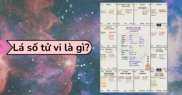 Học Cách Xem Tử Vi Tướng Số