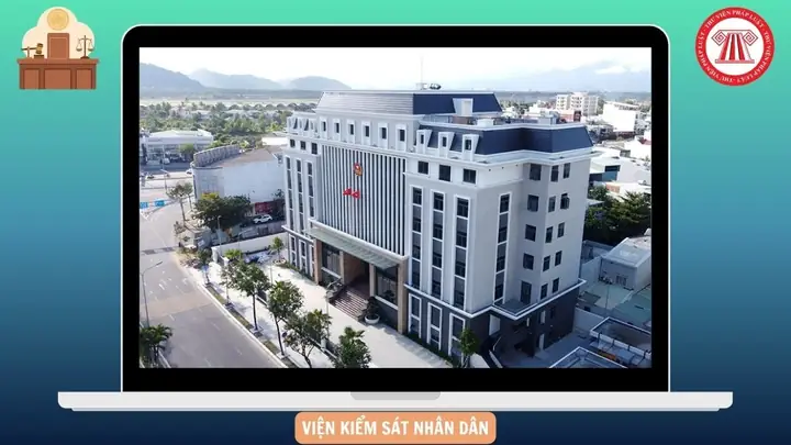 Hỏi Gì Khi Xem Tướng Số