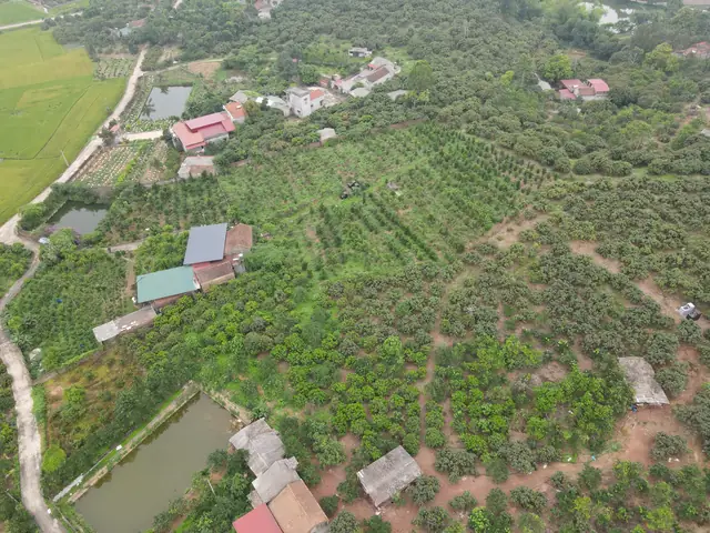 Làng Thầy Tướng Số Ở Sao Đỏ