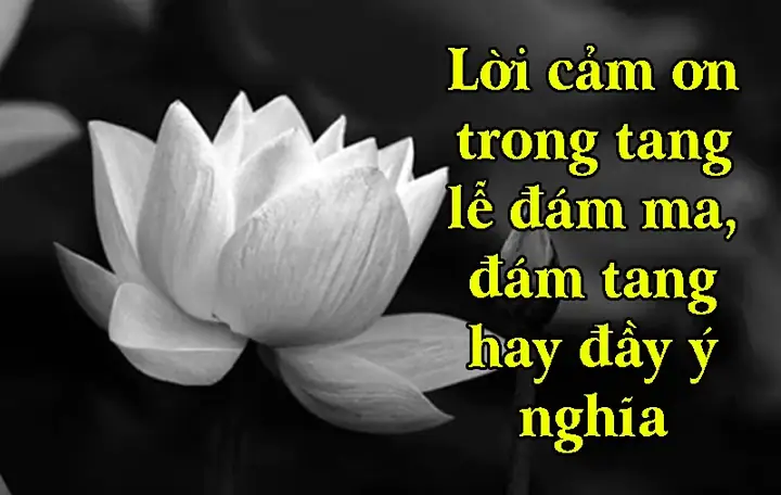 Lời Cảm Ơn Trong Lễ Tang Nhà Thờ