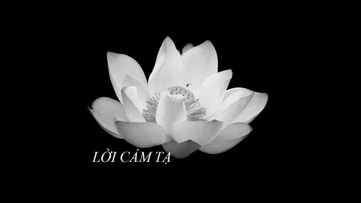 Lời Cảm Ơn Trong Lễ Tang Nhà Thờ Lời Cảm Ơn Trong Lễ Tang Nhà Thờ