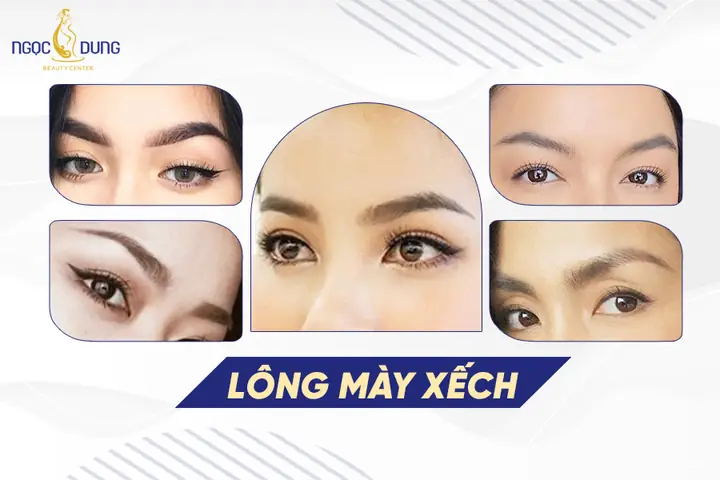 Lông Mày Và Tướng Số