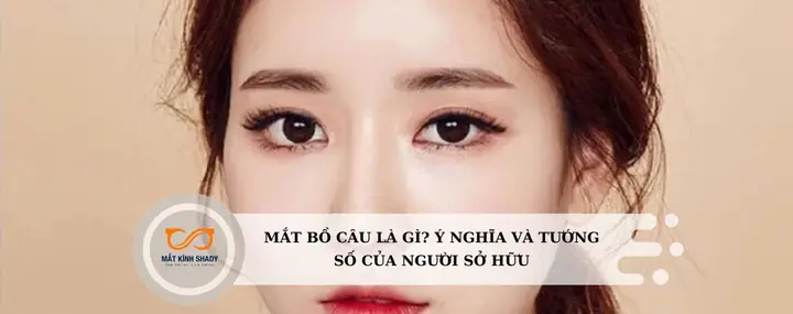 Mắt Bồ Câu Tướng Số Mắt Bồ Câu Tướng Số