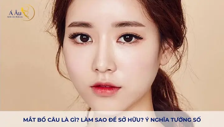 Mắt Bồ Câu Tướng Số Mắt Bồ Câu Tướng Số