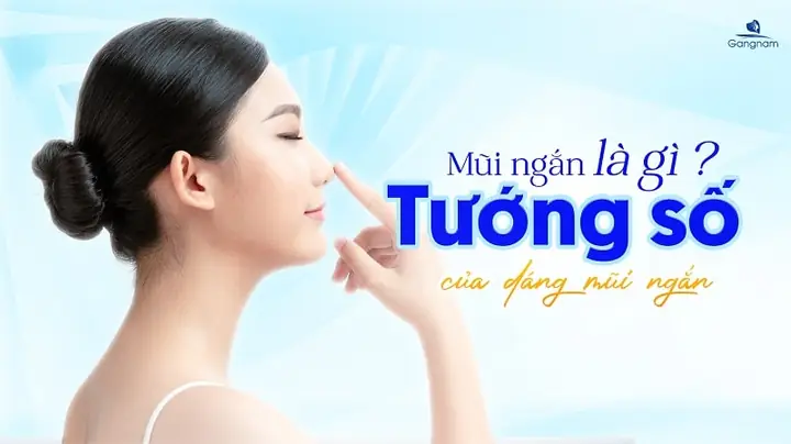 Mũi Ngắn Tướng Số